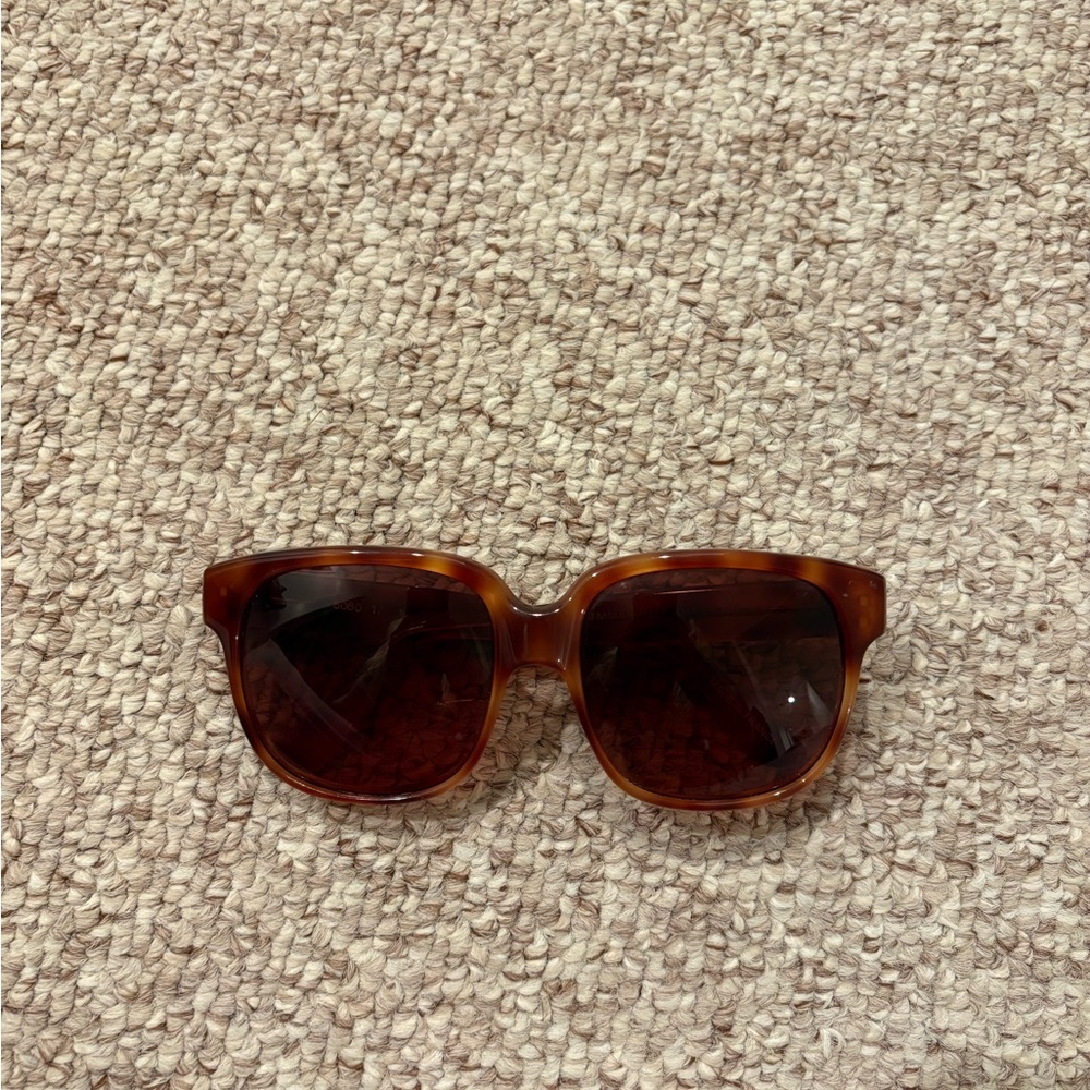 Chic Brown Tortoise Sunglasses